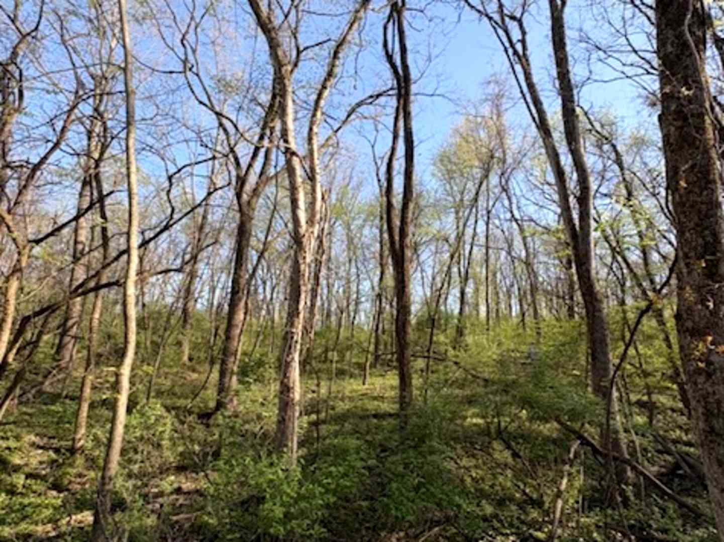 Vacant Land For Sale - 26 Catalina Drive<br/> Putnam, IL 61560