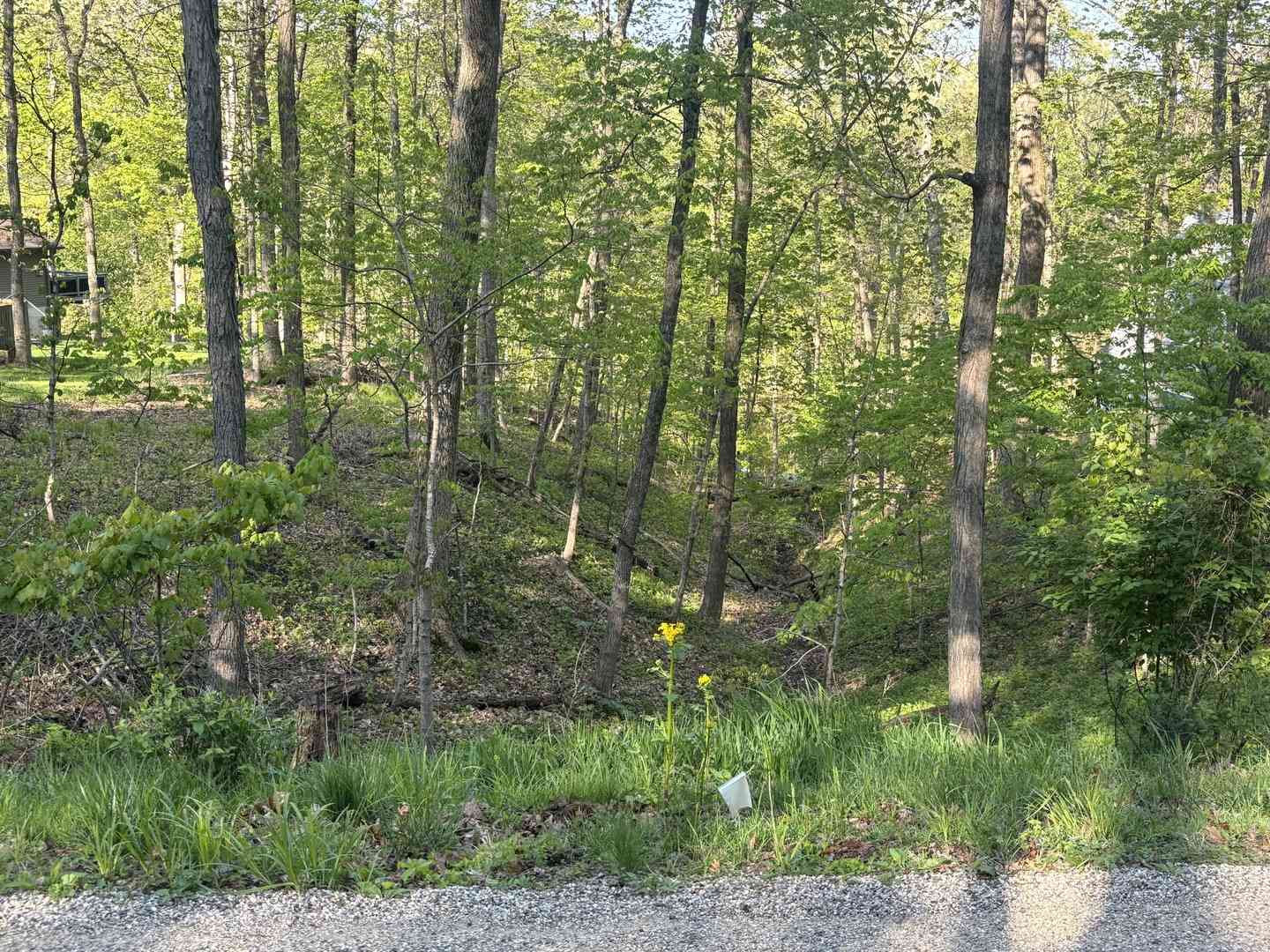 Vacant Land For Sale - 1829 Tanglewood Drive<br/> Varna, IL 61375