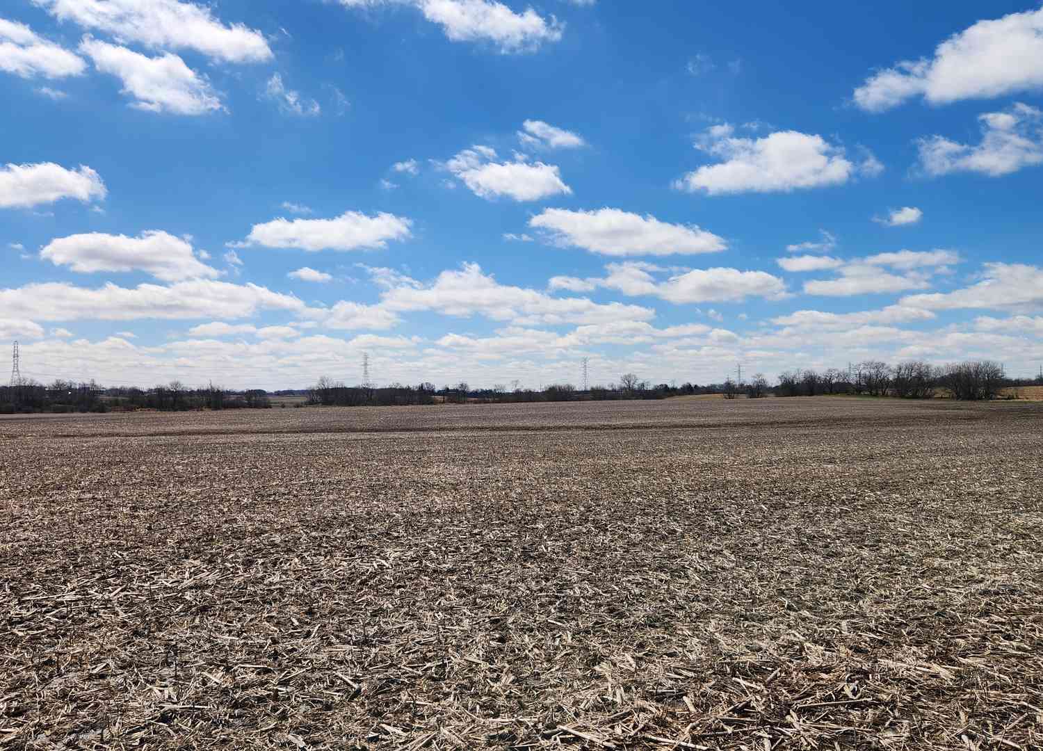 Vacant Land For Sale - Nacke Road<br/> Crete, IL 60417