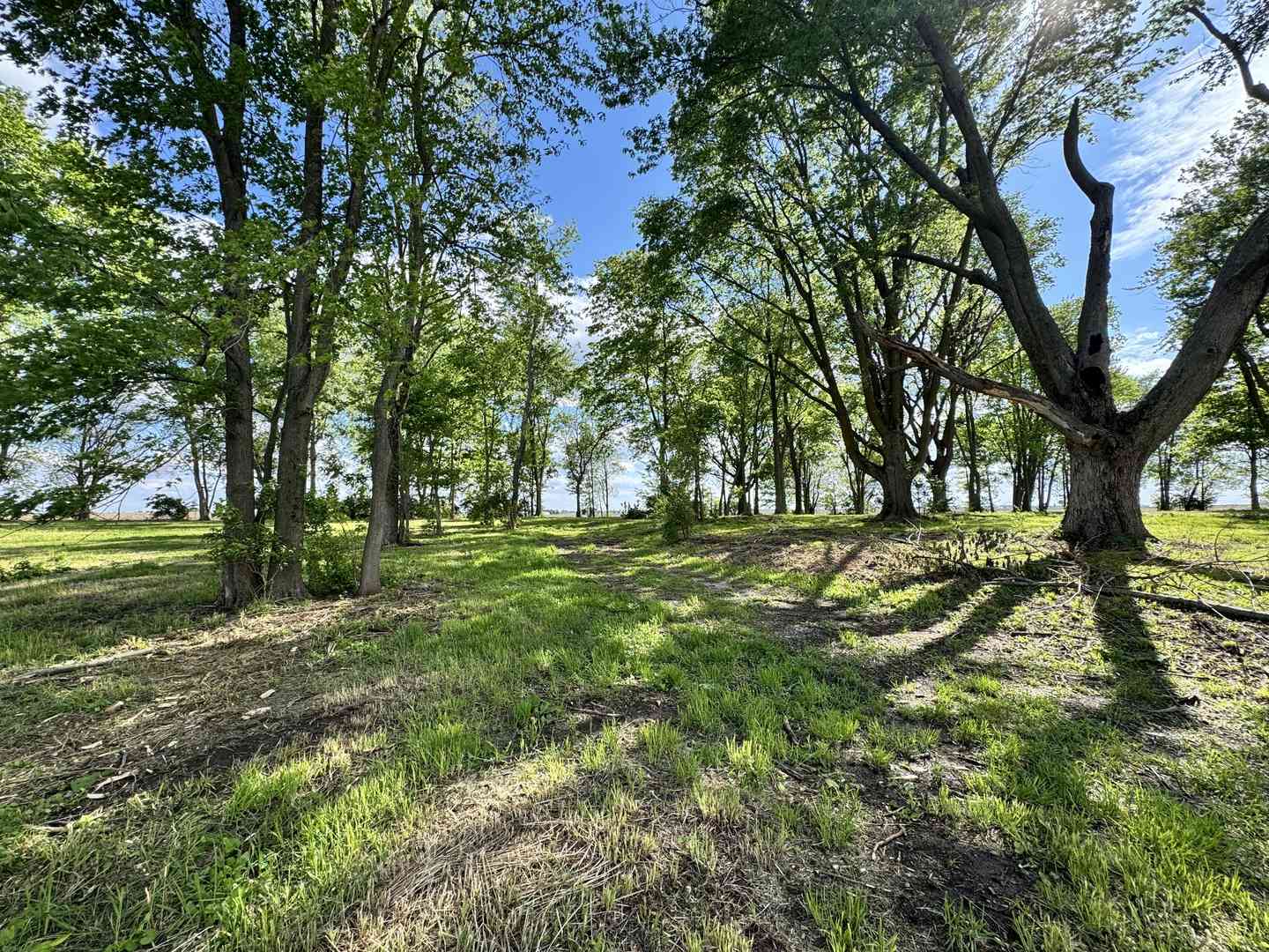 Vacant Land For Sale - 1971 County Road 1200<br/> Sidney, IL 61877