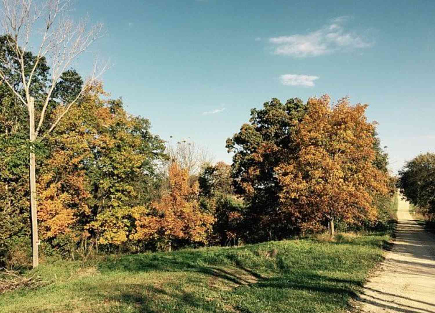 Vacant Land For Sale - 2112 60th Street<br/> Jackson County, Monmouth, IL 61462