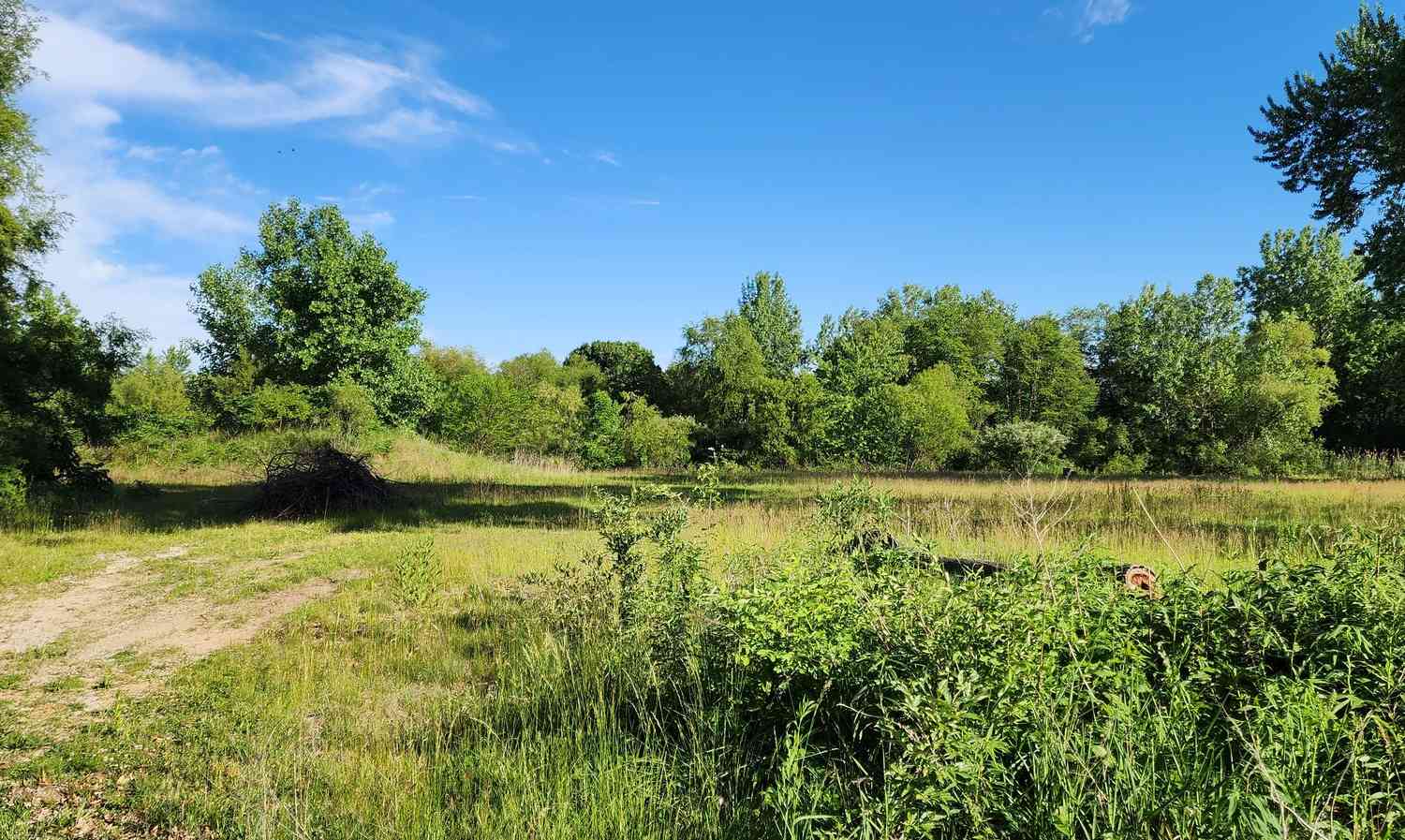 Vacant Land For Sale - 574 Caleb Road<br/> Braidwood, IL 60408