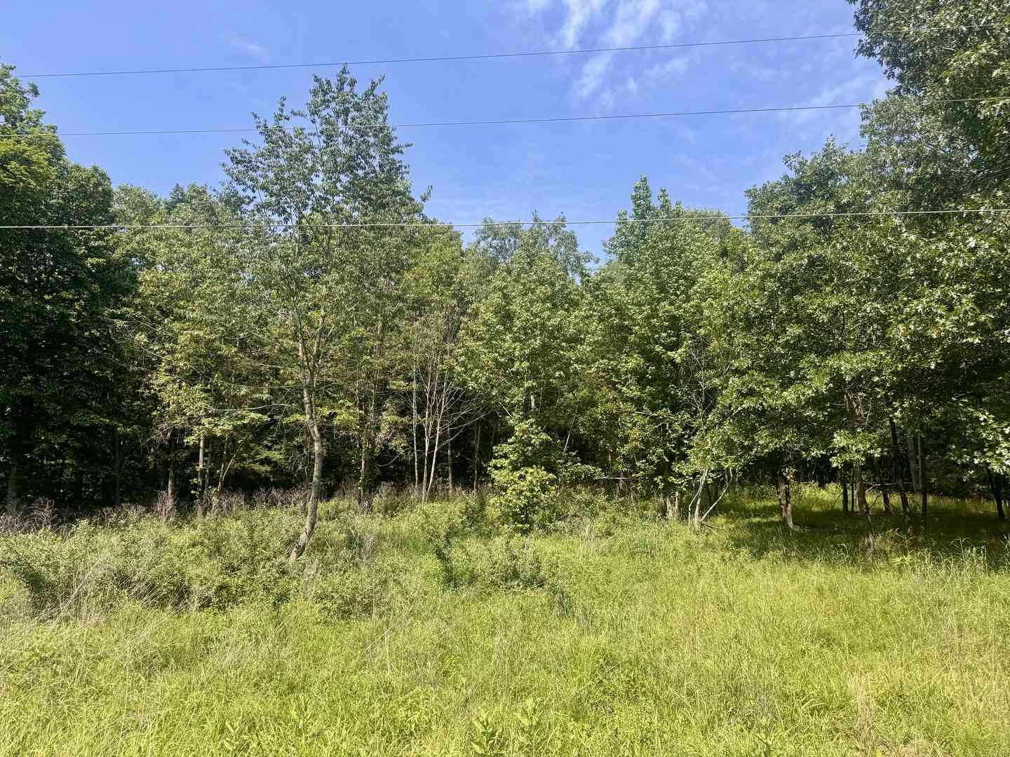 Vacant Land For Sale - 000 Shawnee Drive<br/> Goreville, IL 62939