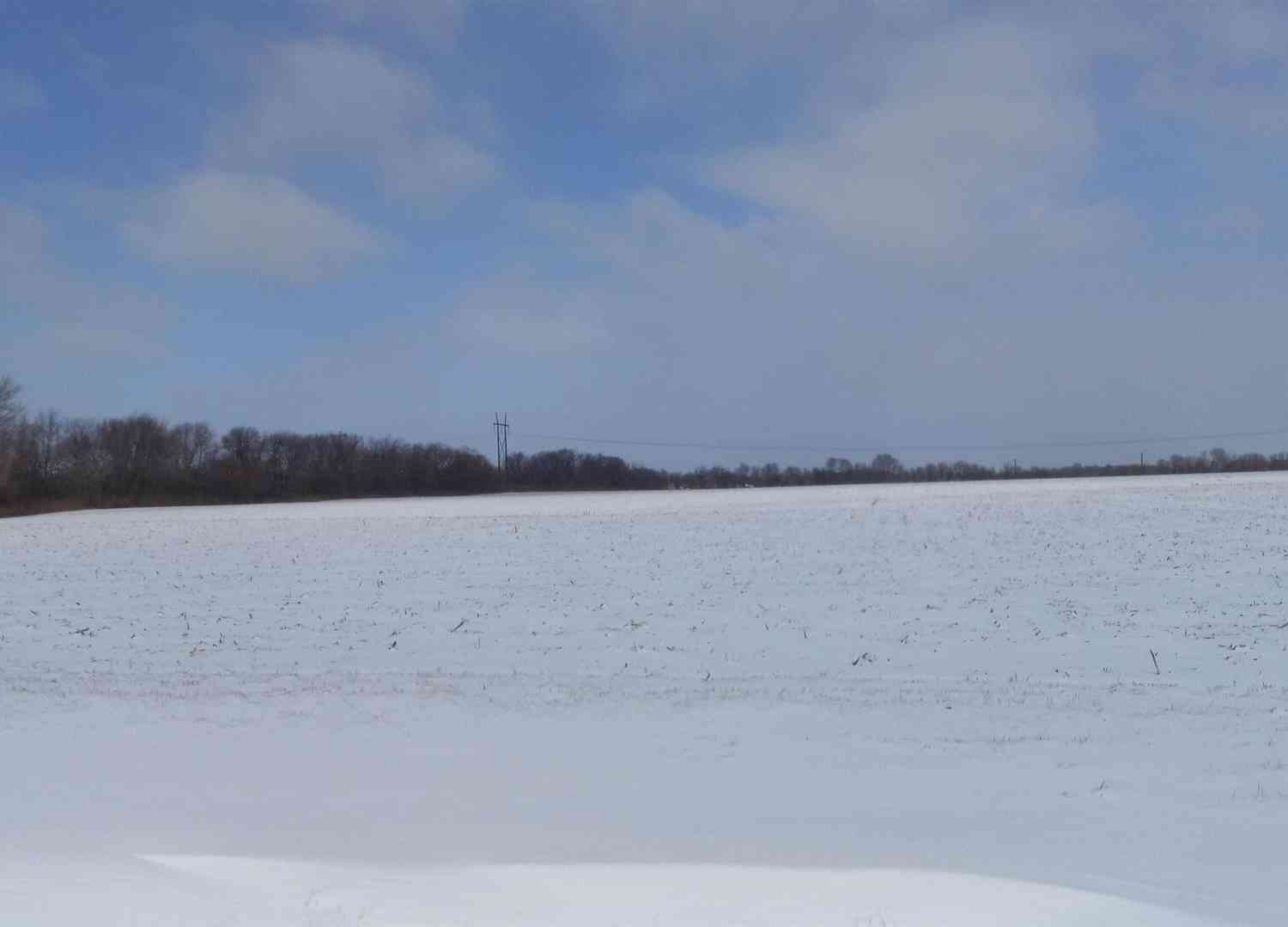 Vacant Land For Sale - Route 94 Street<br/> Milan, IL 61240