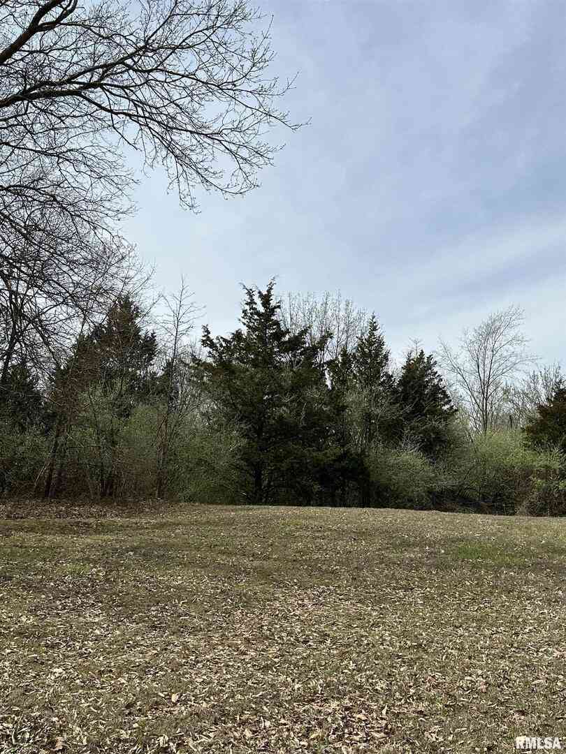 Vacant Land For Sale - 000 Gierten Road<br/> Marion County, Centralia, IL 62801