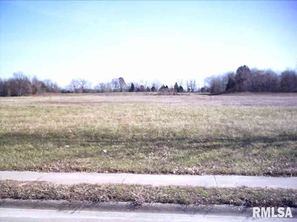 Vacant Land For Sale - LOT 11 Financial Drive<br/> Jackson County, Carbondale, IL 62901