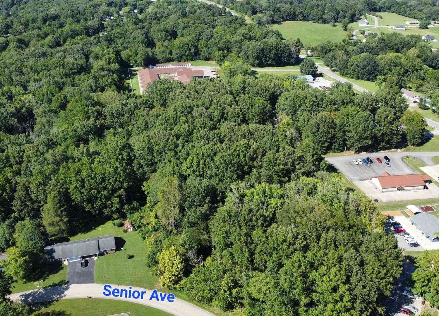 Vacant Land For Sale - 000 Galeener Street<br/> Vienna, IL 62995