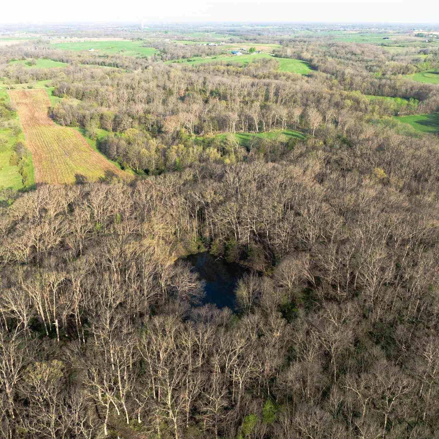 Vacant Land For Sale - TBD Echo Avenue<br/> Davis County, Bloomfield, IA 52537