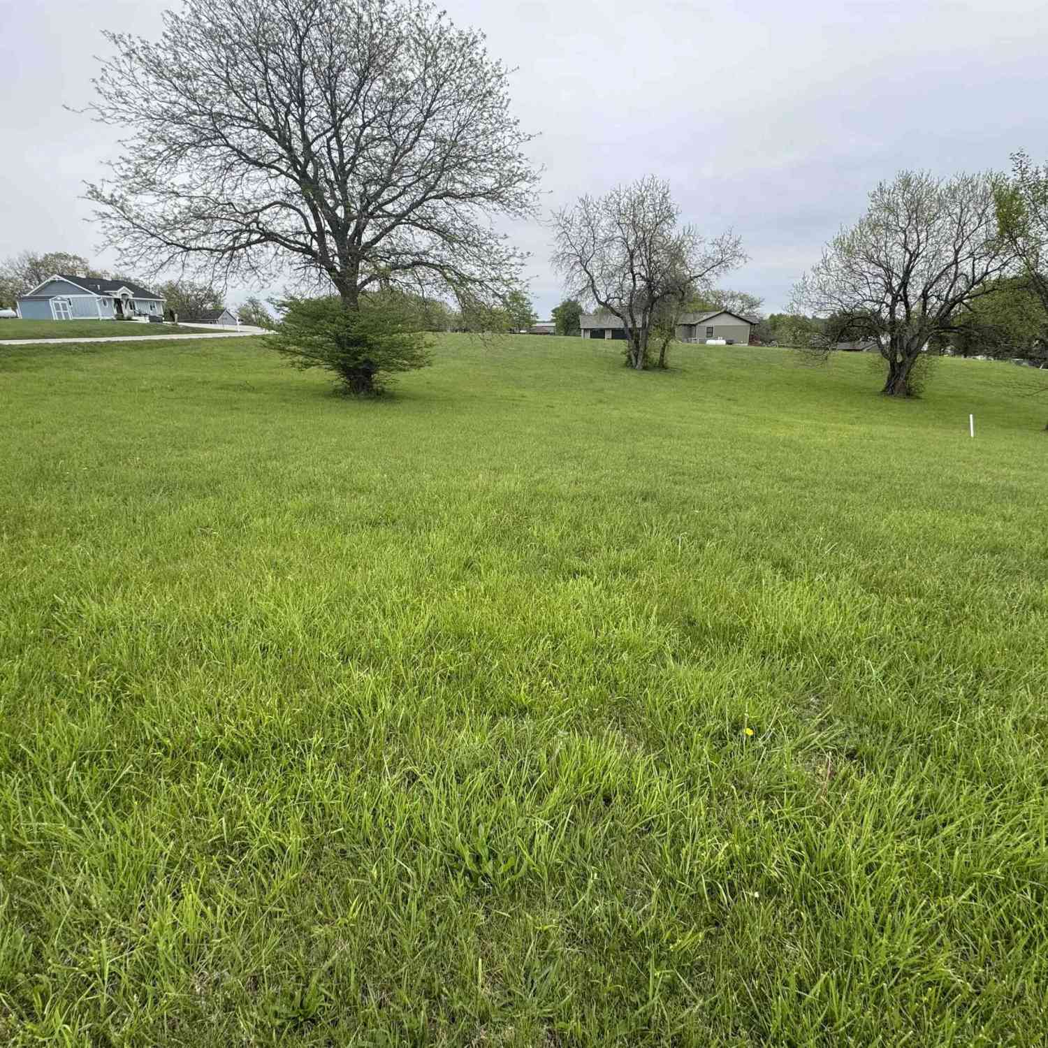 Vacant Land For Sale - 161162163 Crestview Drive<br/> Ellston, IA 50074