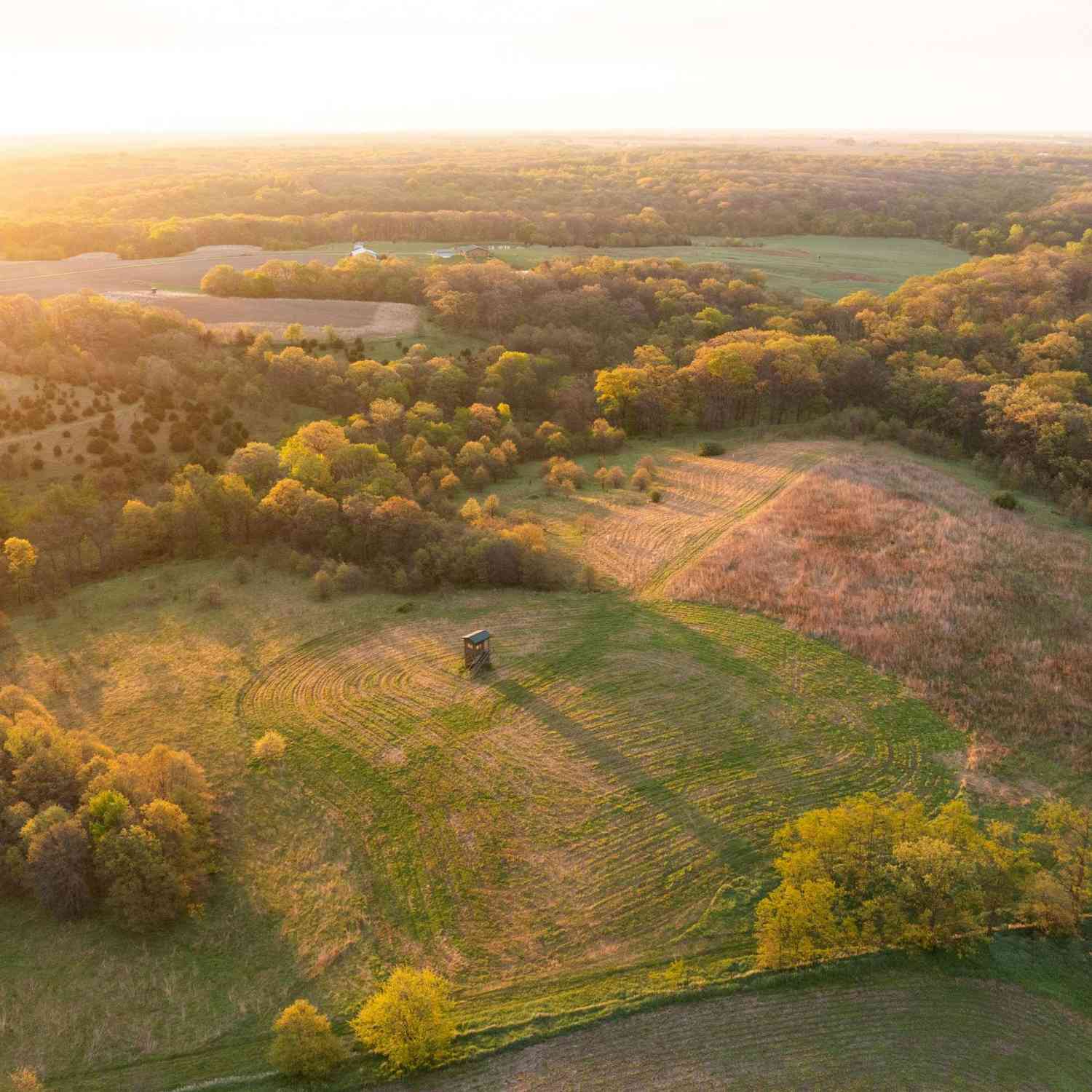 Vacant Land For Sale - TBD 270th Street<br/> Jefferson County, Birmingham, IA 52535
