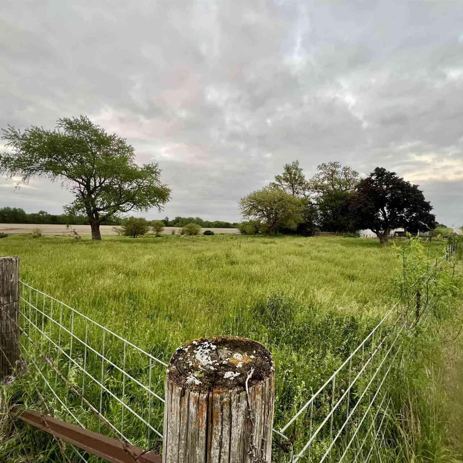 Vacant Land For Sale - 3163 State Hwy. 2<br/> Page County, Clarinda, IA 51632
