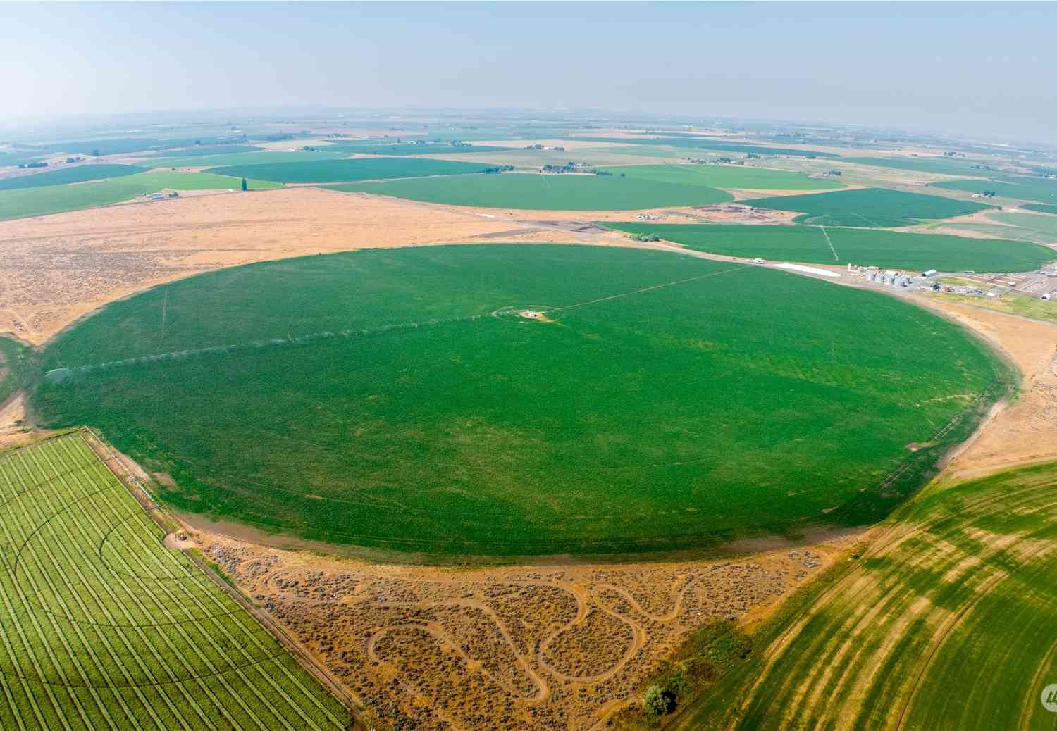 Vacant Land For Sale - Road D<br/> Grant County, Ephrata, WA 98823