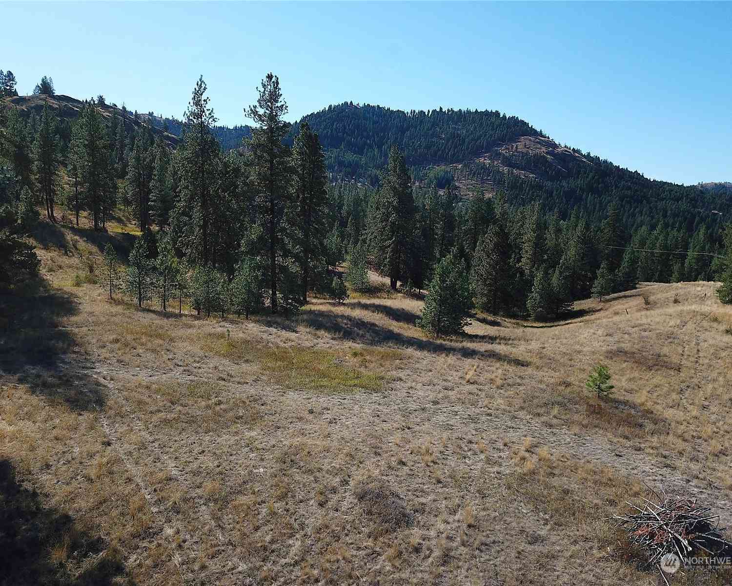 Vacant Land For Sale - 68 Jostin Lane<br/> Malo, WA 99150