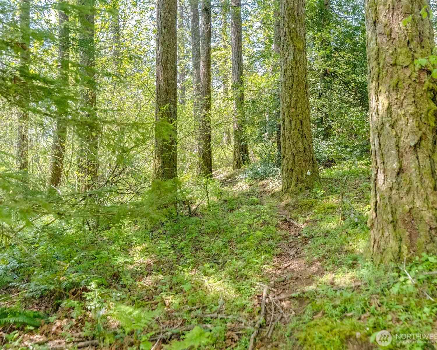 Vacant Land For Sale - 0 XXX SE 362nd Avenue<br/> Washougal, WA 98671