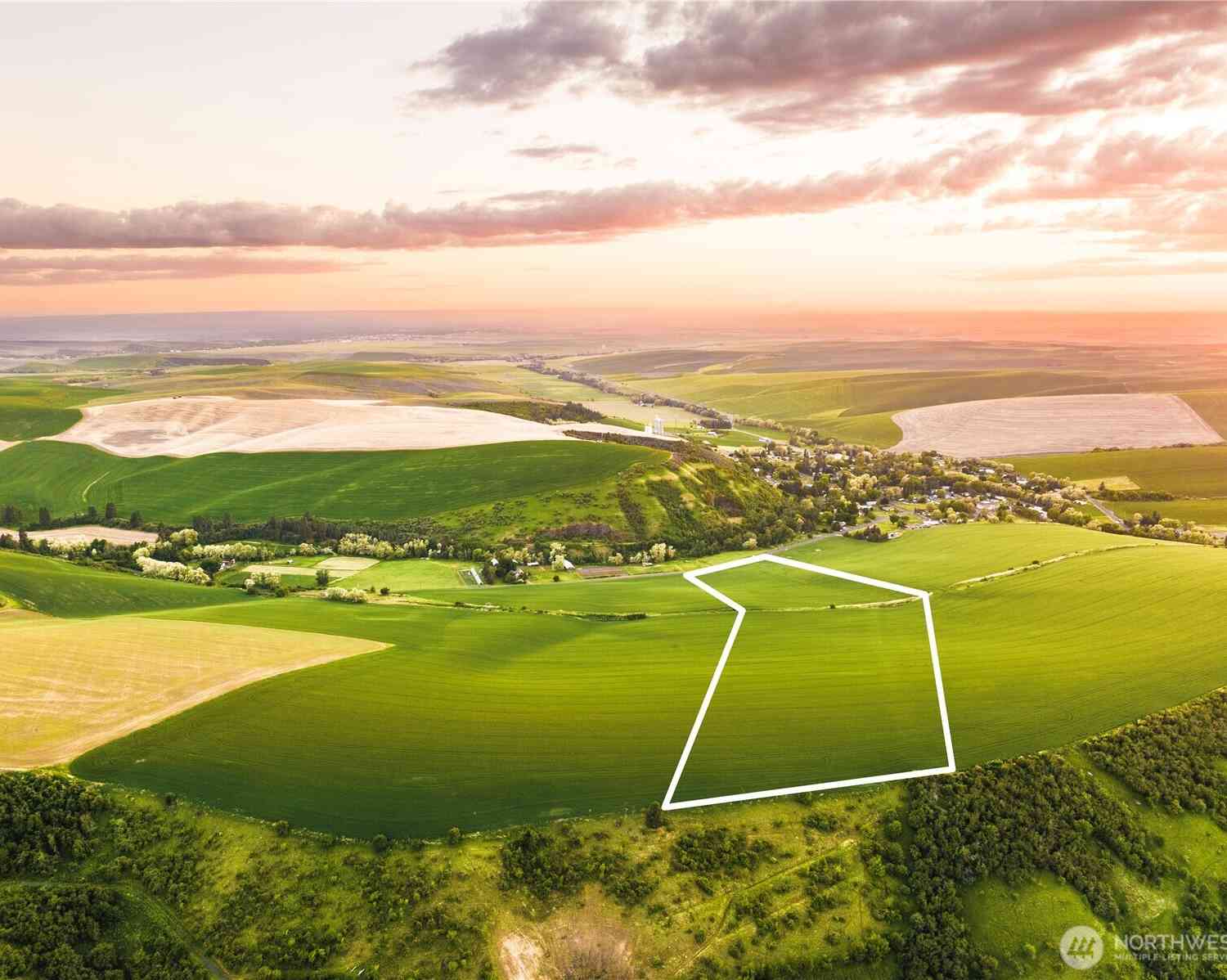 Vacant Land For Sale - 0 LOT 1 Biscuit Ridge Road<br/> Dixie, WA 99329