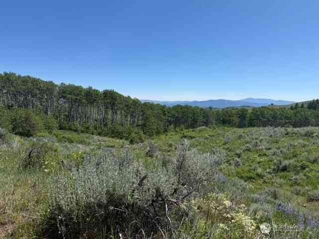 Vacant Land For Sale - 111 Tbd Ellemeham Ridge Road<br/> Oroville, WA 98844