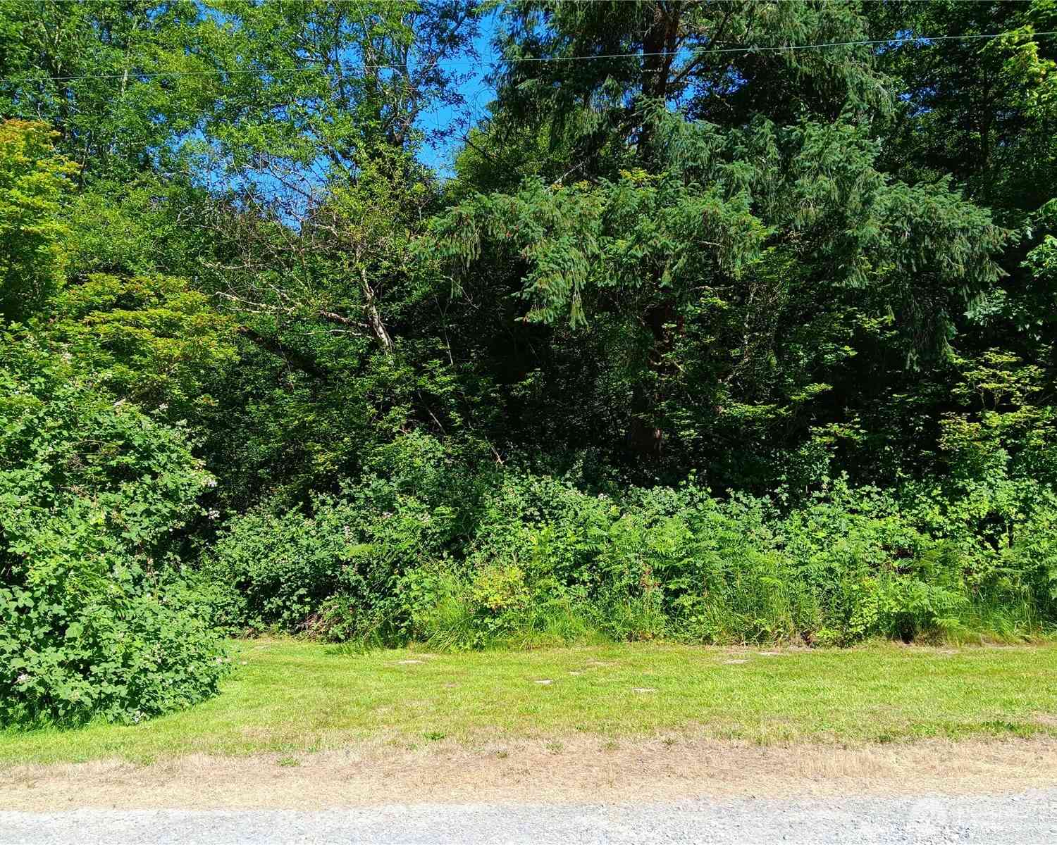 Vacant Land For Sale - 22606 Paul Bunyan<br/> Thurston County, Yelm, WA 98597
