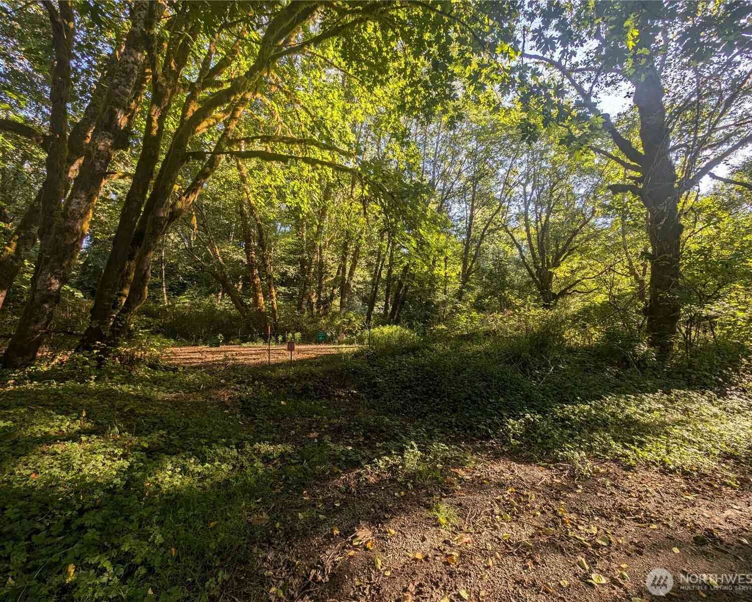 Vacant Land For Sale - 999 Whitcomb-dimmel Road<br/> Forks, WA 98331