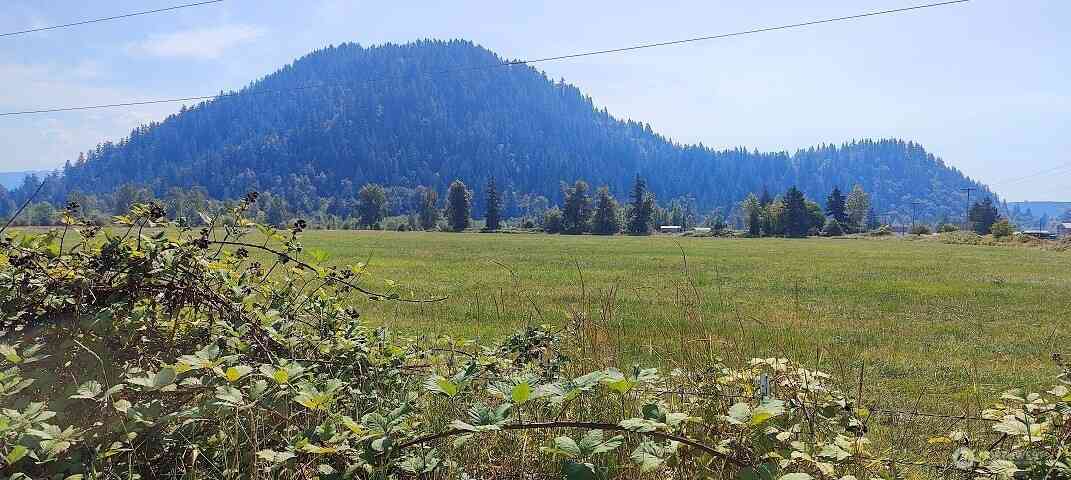 Vacant Land For Sale - 46502 268th Avenue<br/> Enumclaw, WA 98022