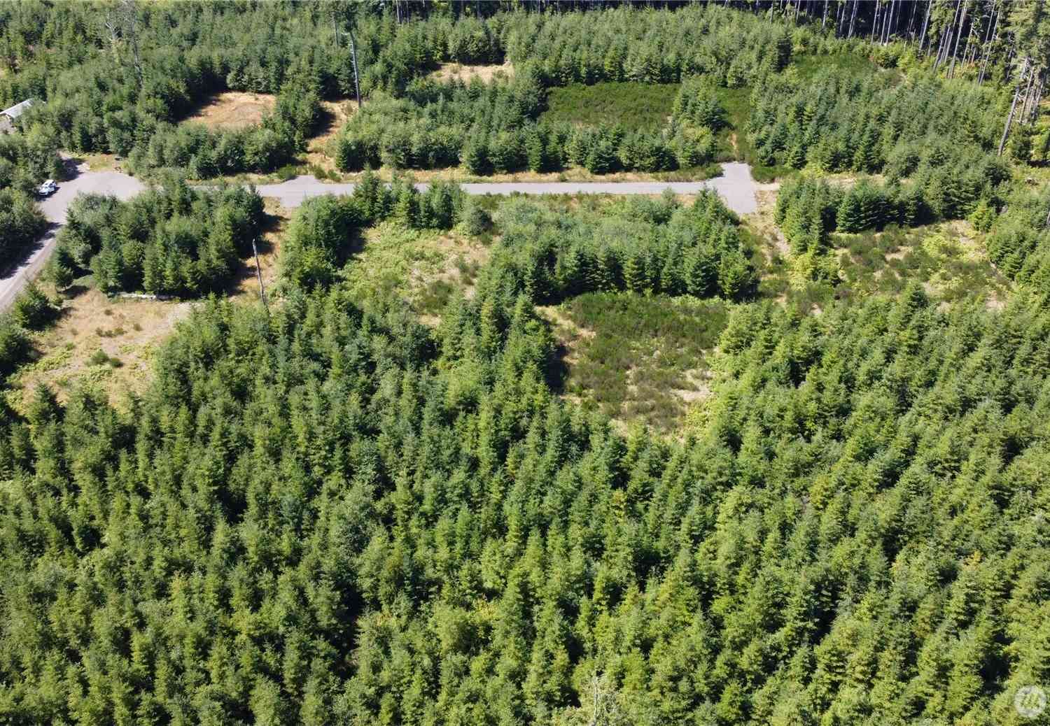 Vacant Land For Sale - 9999 King Johns-lot 2 Crow Sp Way<br/> Forks, WA 98331