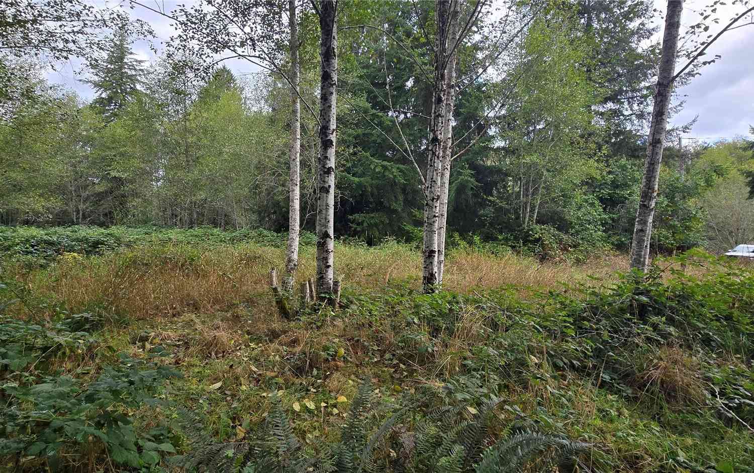 Vacant Land For Sale - 1351 Satsop Road<br/> Montesano, WA 98563