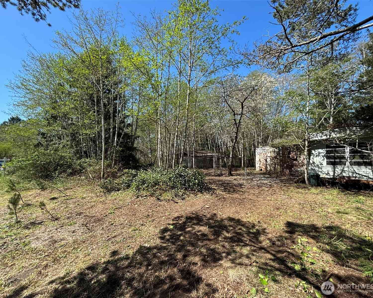 Vacant Land For Sale - Wa-105<br/> Pacific County, Grayland, WA 98541