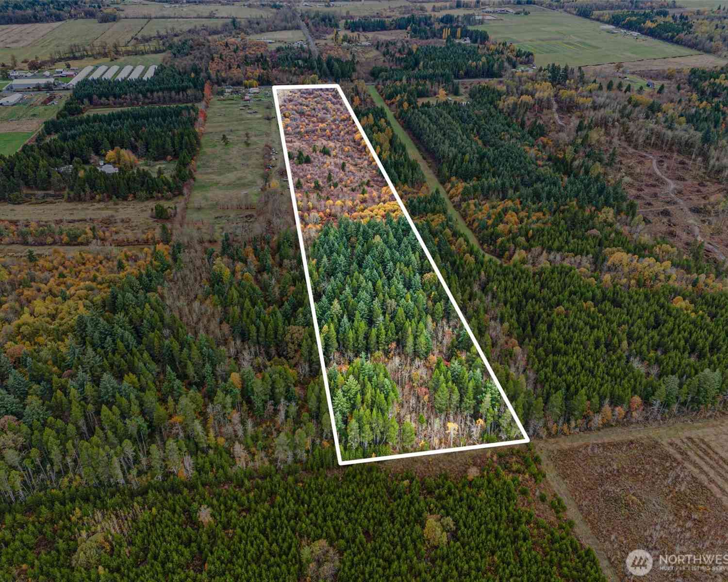 Vacant Land For Sale - 0 X Oyler Road<br/> Toledo, WA 98591