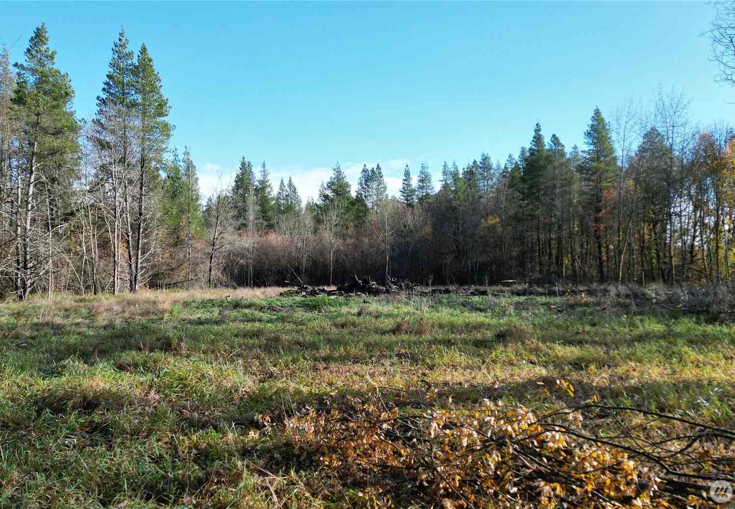 Vacant Land For Sale - Jackson Hwy<br/> Toledo, WA 98591