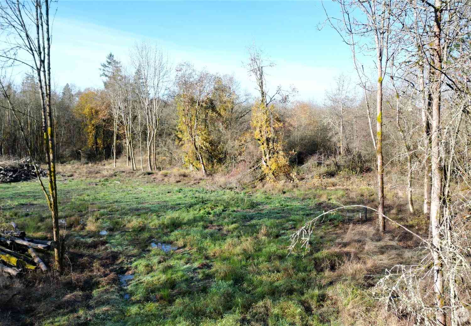Vacant Land For Sale - Jackson Hwy<br/> Toledo, WA 98591