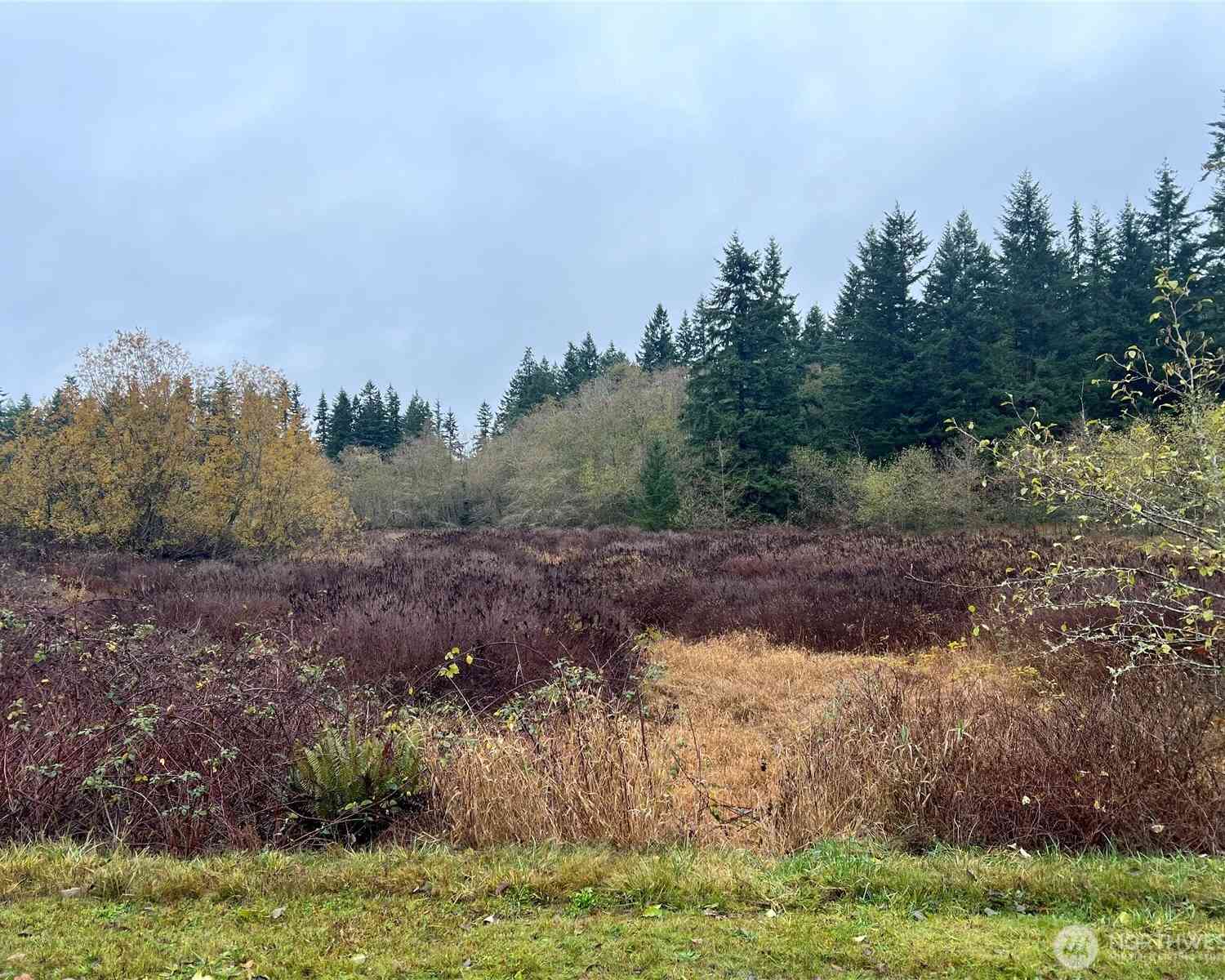 Vacant Land For Sale - 0 LOT 12 Rollinghill Road<br/> Clinton, WA 98236