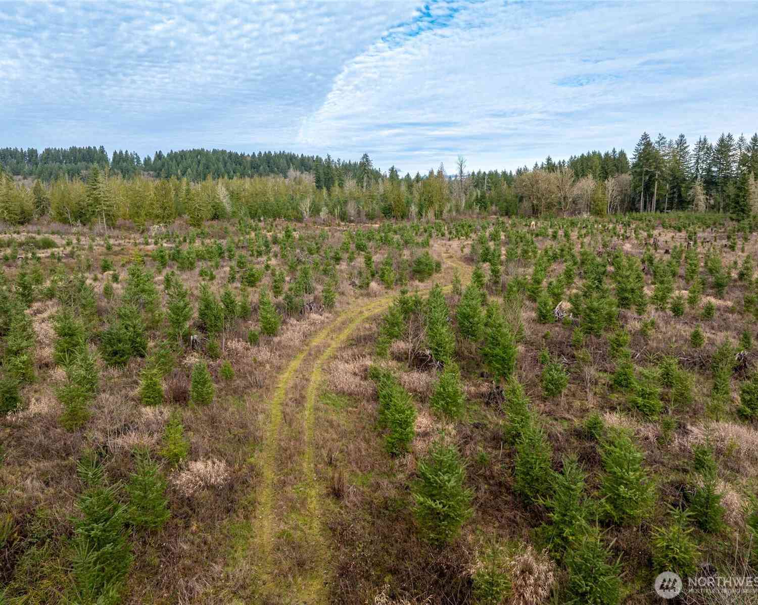 Vacant Land For Sale - 14 XX Spencer Road<br/> Onalaska, WA 98570