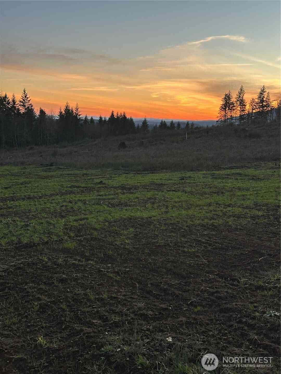 Vacant Land For Sale - 242 Suncrest Drive<br/> Castle Rock, WA 98611
