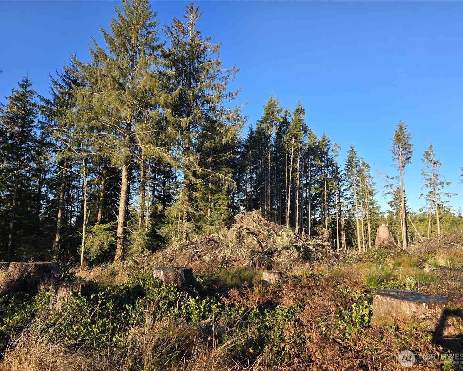 Vacant Land For Sale - 2753 State Route 101<br/> Ilwaco, WA 98624