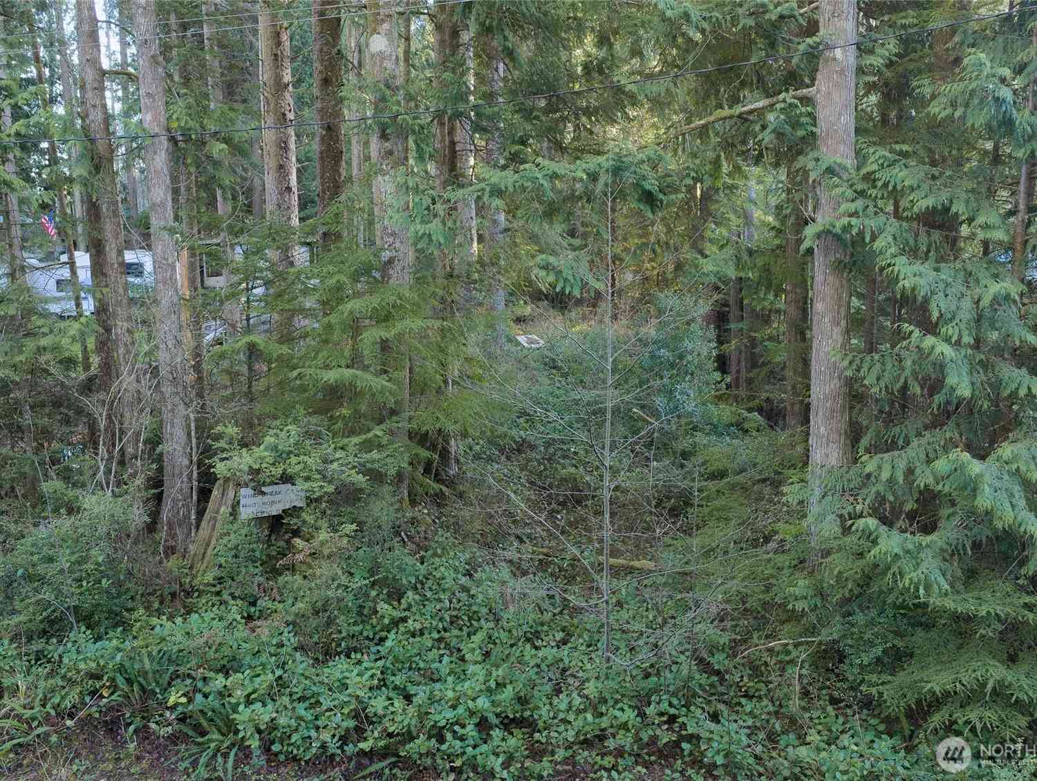 Vacant Land For Sale - 40 Robin Lane<br/> Pacific Beach, WA 98571