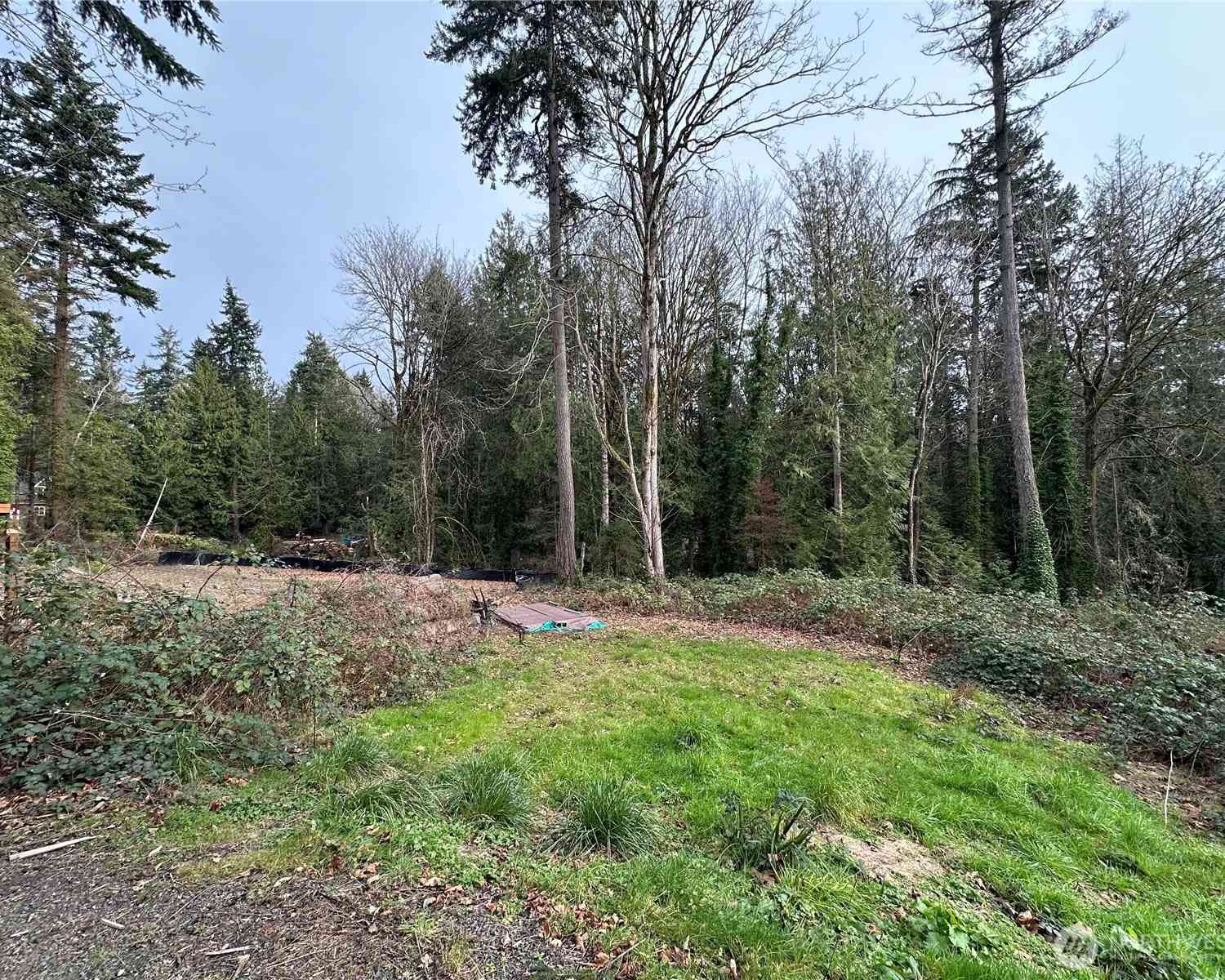 Vacant Land For Sale - 20594 Alder Street<br/> Kitsap County, Indianola, WA 98342