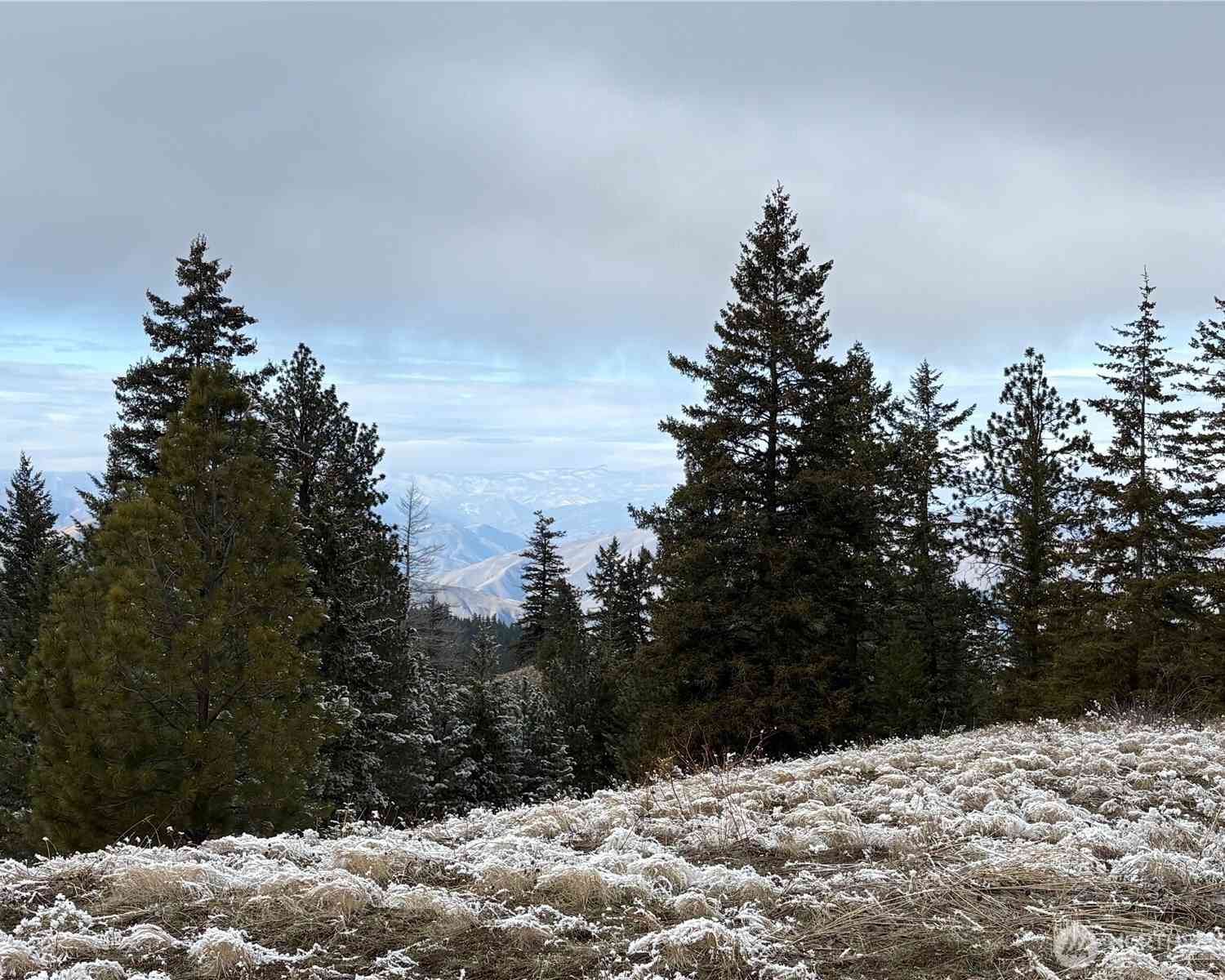 Vacant Land For Sale - Redfield Rd<br/> Waterville, WA 98858