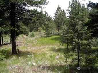 Vacant Land For Sale - Mule Deer Road<br/> Waterville, WA 98858