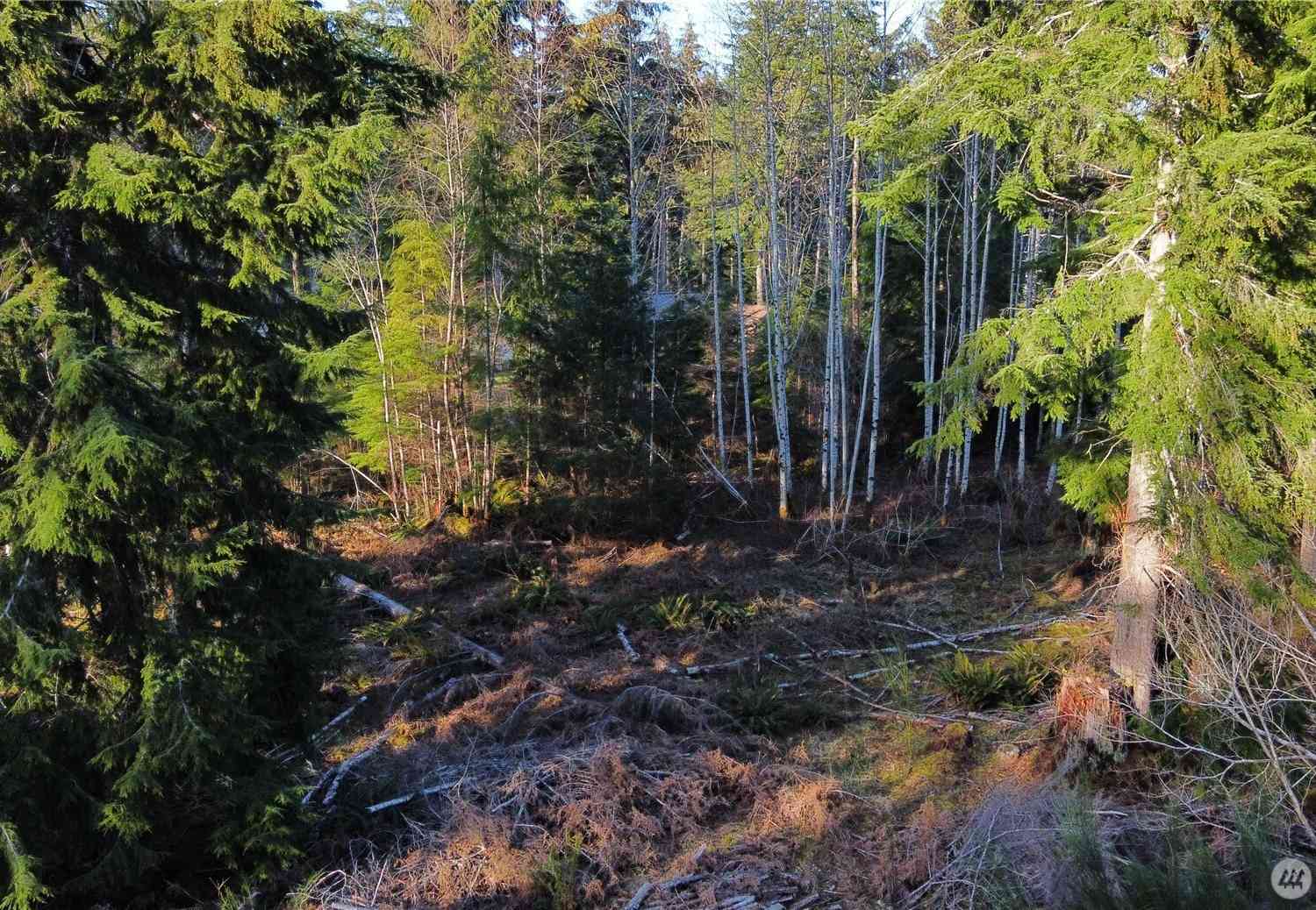 Vacant Land For Sale - 579 Thomas Street<br/> Forks, WA 98331