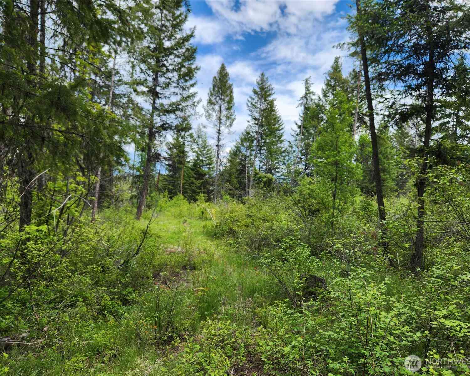 Vacant Land For Sale - 318 Rockabye Lane<br/> Curlew, WA 99118