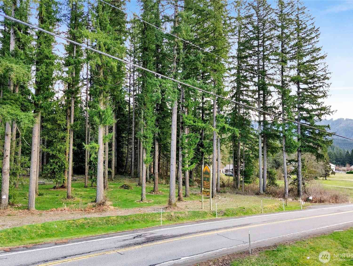 Vacant Land For Sale - Mt Baker Highway<br/> Deming, WA 98244