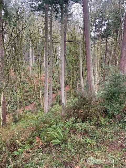 Vacant Land For Sale - 0 XXX Hellman Road<br/> Clinton, WA 98236