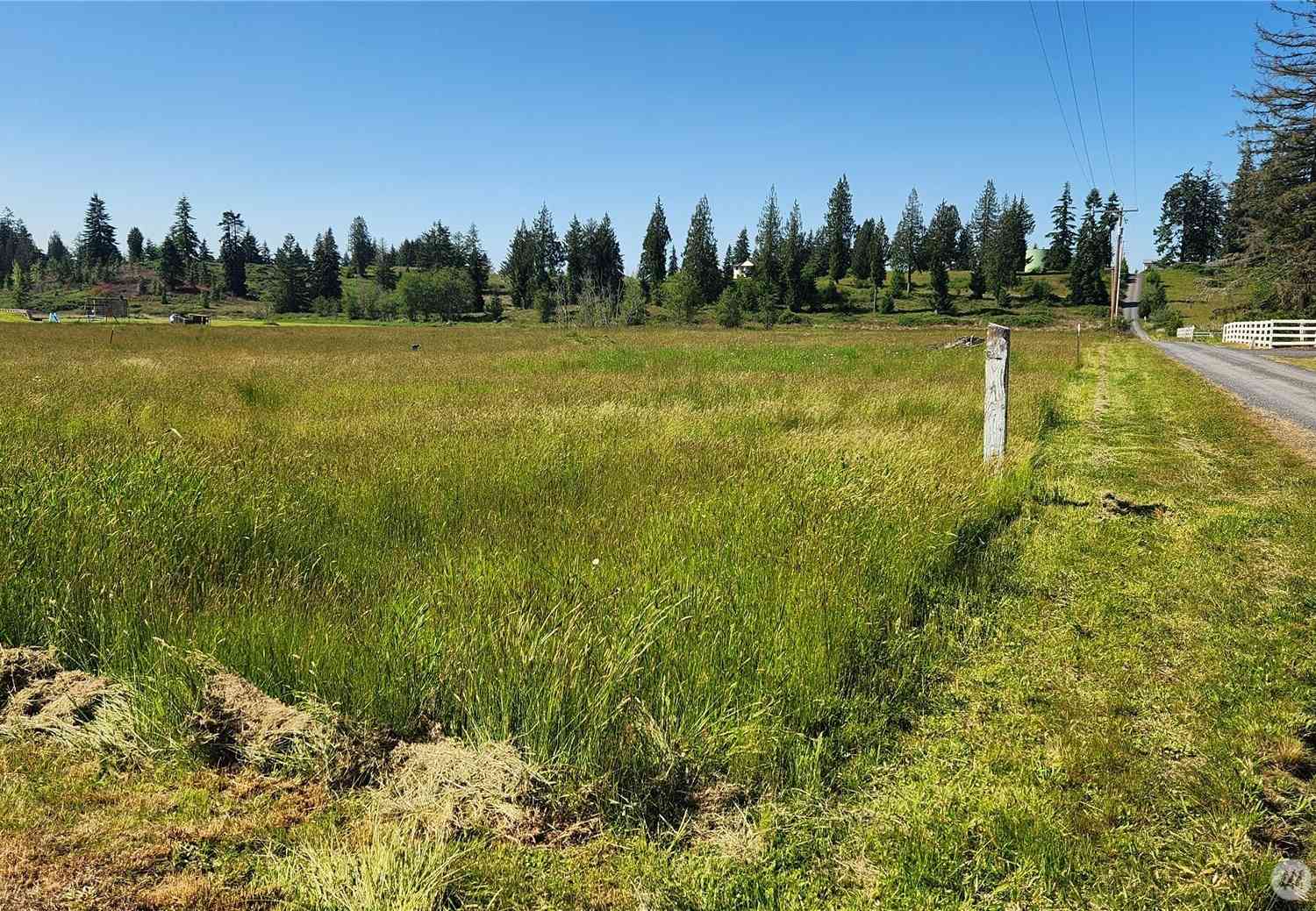 Vacant Land For Sale - 917 Middle Fork Road<br/> Onalaska, WA 98570