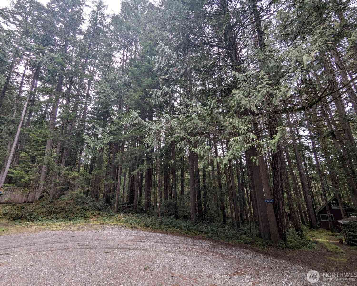 Vacant Land For Sale - 66 Skagit Way<br/> Marblemount, WA 98267
