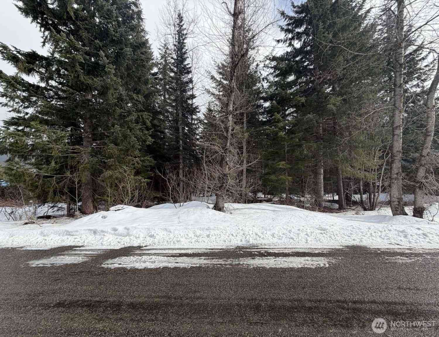 Vacant Land For Sale - 129 Chamonix Place<br/> Snoqualmie Pass, WA 98068