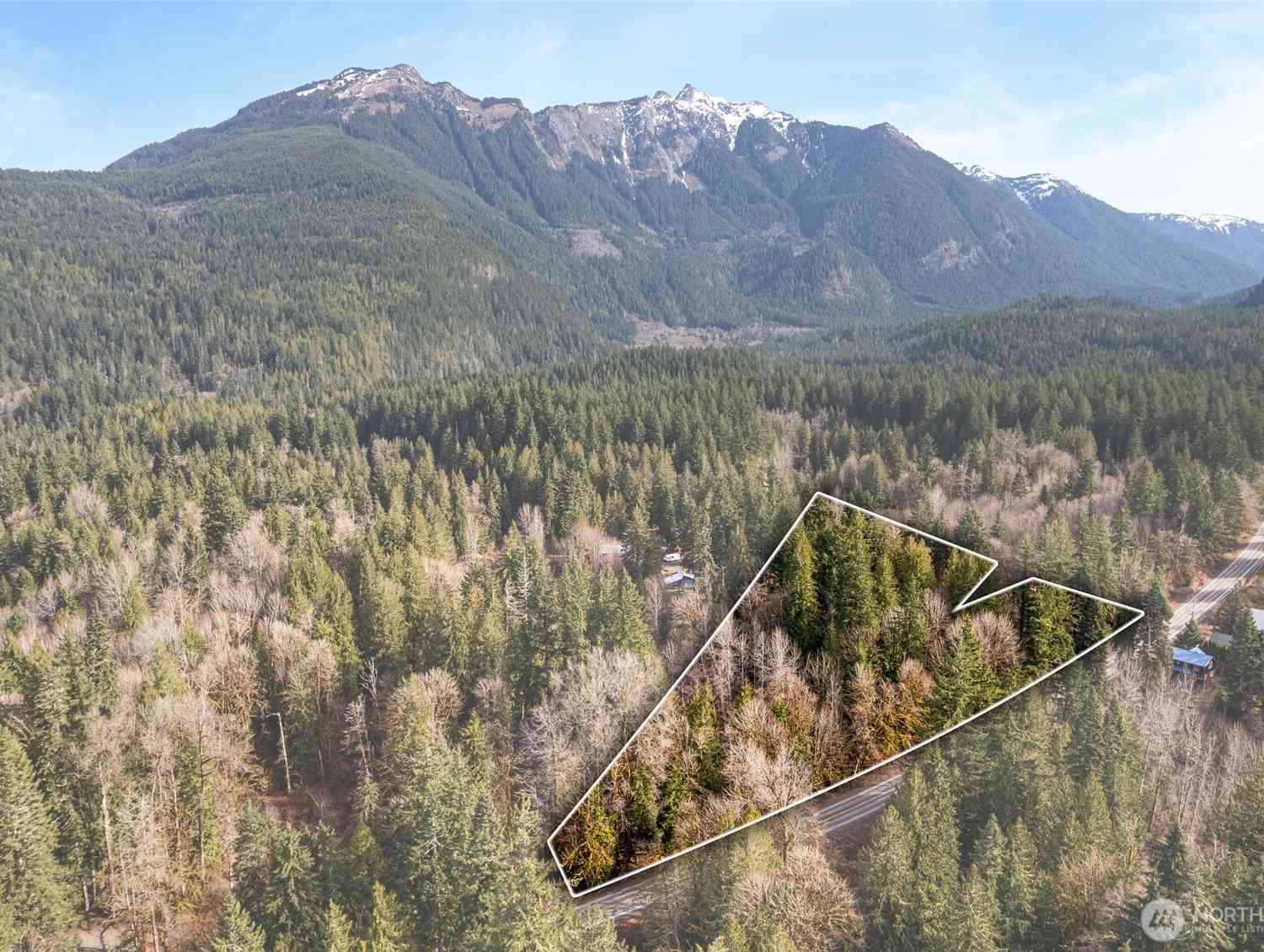 Vacant Land For Sale - 10211 Mt Baker Hwy<br/> Deming, WA 98244