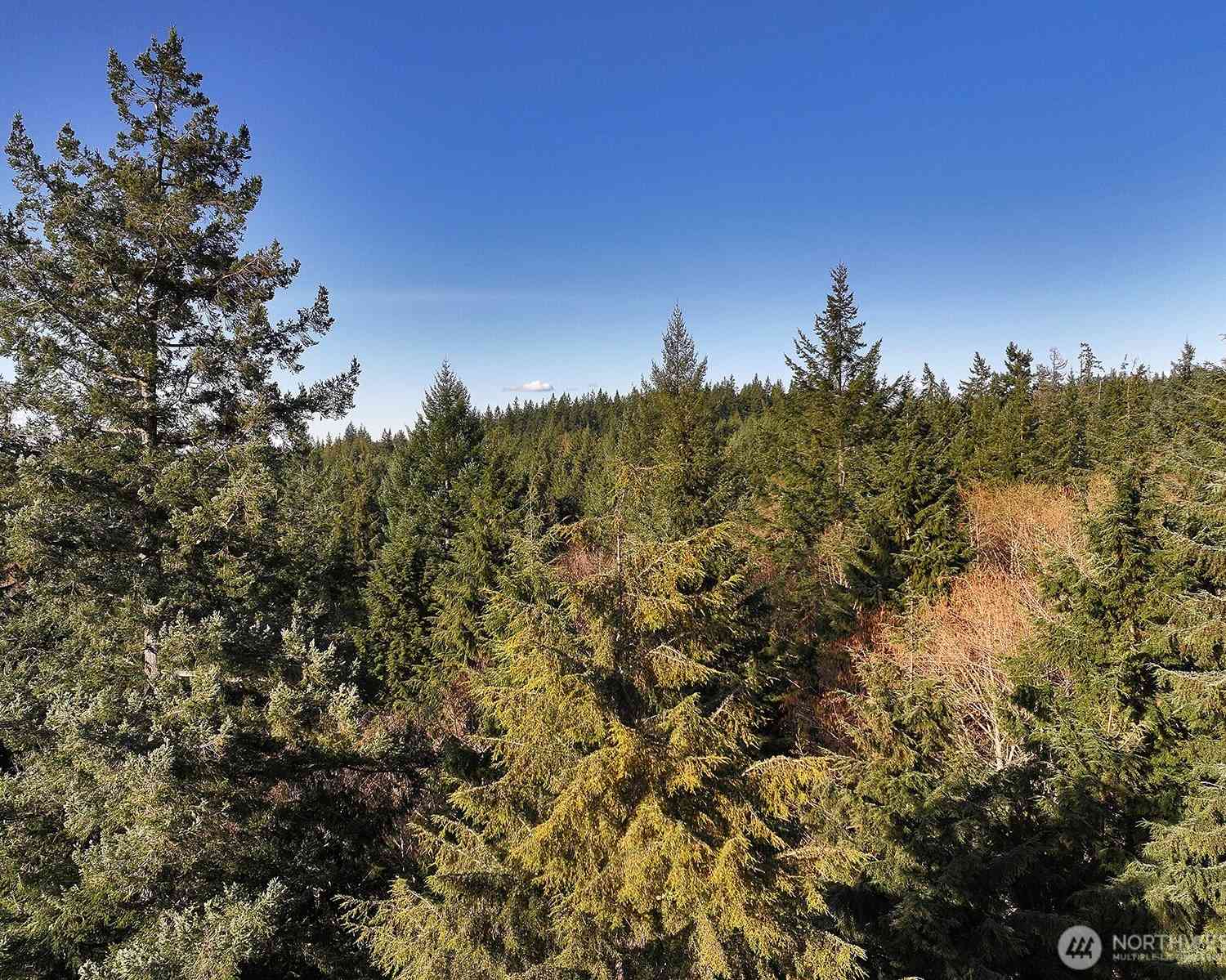 Vacant Land For Sale - 0 XXX Sr 525<br/> Langley, WA 98260