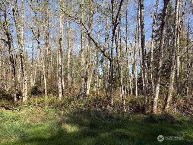 Vacant Land For Sale - 0 LOT 15 Ander Park Road<br/> Freeland, WA 98249