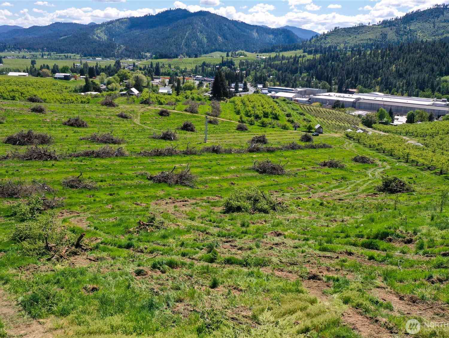 Vacant Land For Sale - 1 Ludwig Hill Rd<br/> Peshastin, WA 98847