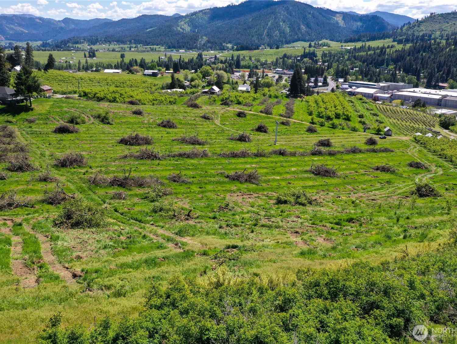 Vacant Land For Sale - 3 Ludwig Hill Rd<br/> Peshastin, WA 98847