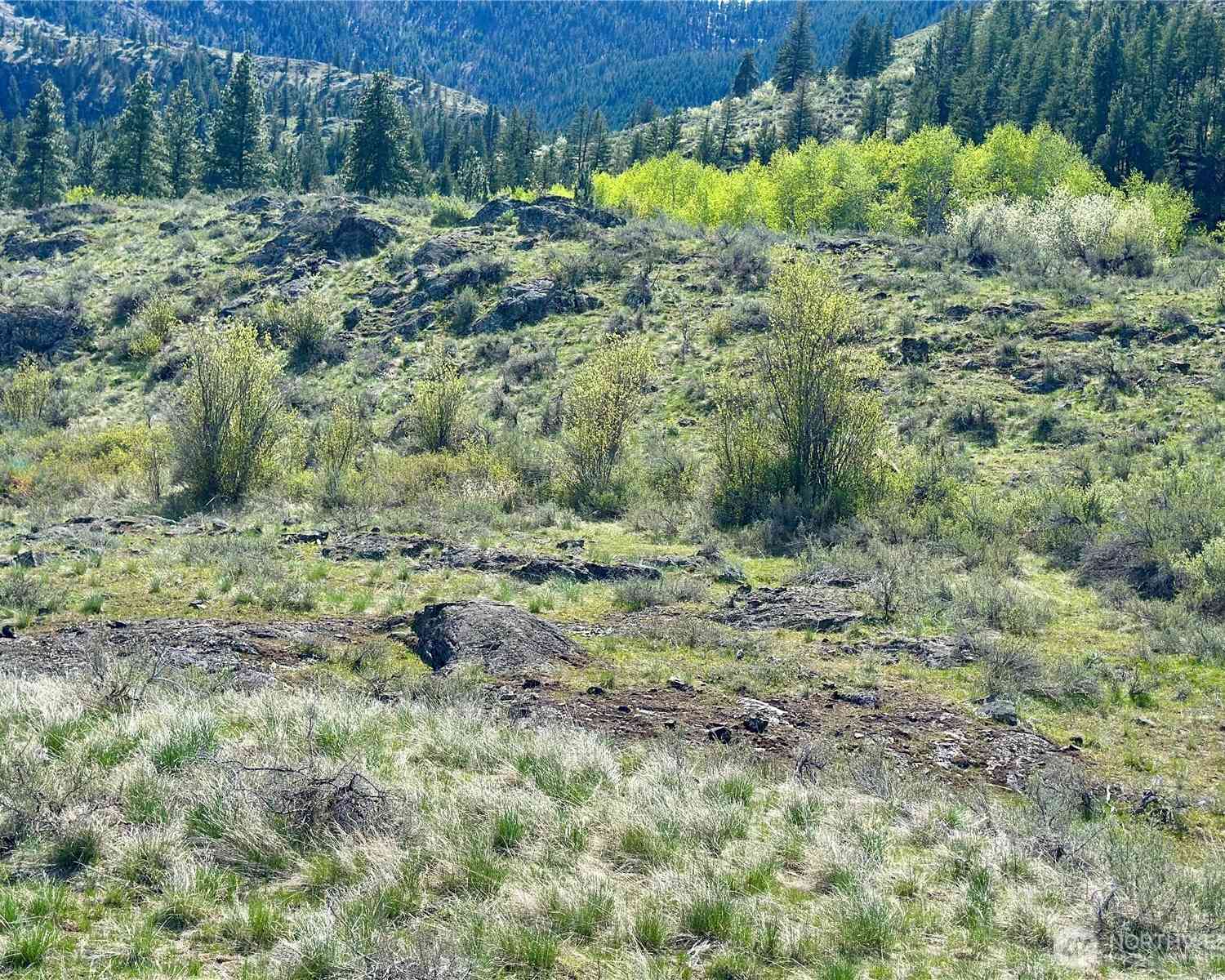 Vacant Land For Sale - 2 X Alder Road<br/> Twisp, WA 98856